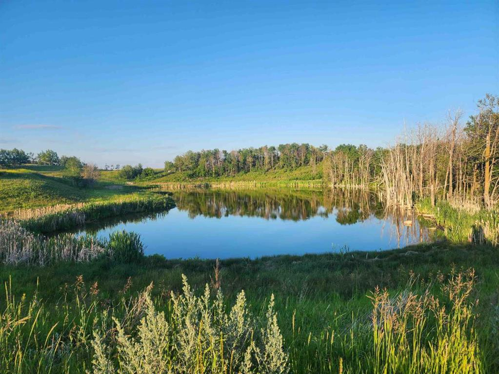 Hi Way 590, Rural Red Deer County, Alberta, T0M 0Y0 (104071246)