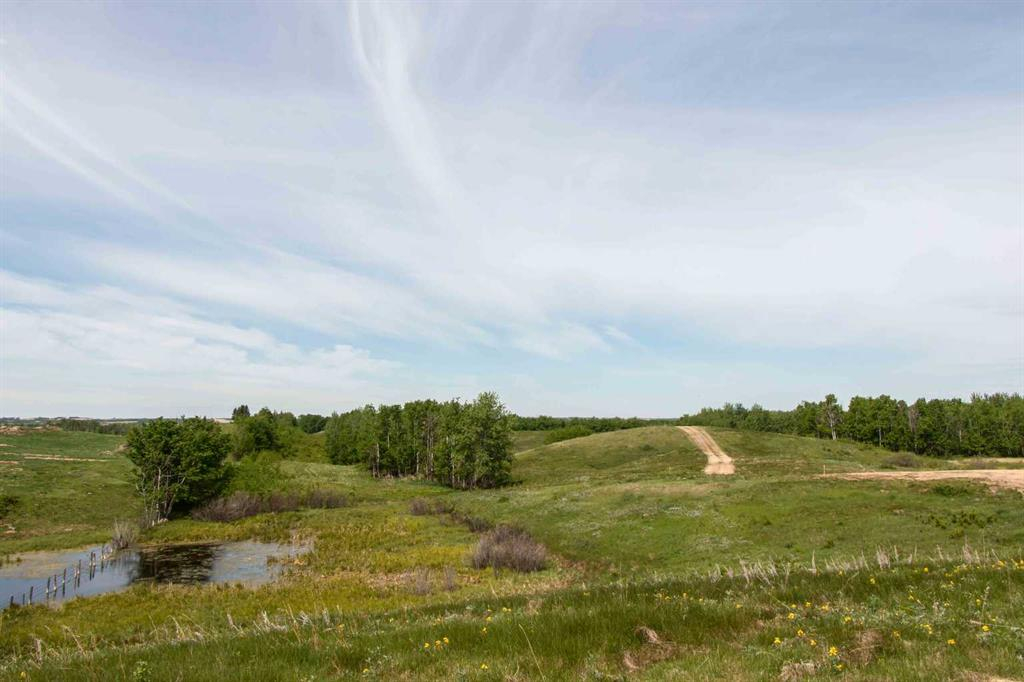 Hi Way 590, Rural Red Deer County, Alberta, T0M 0Y0 (104071246)