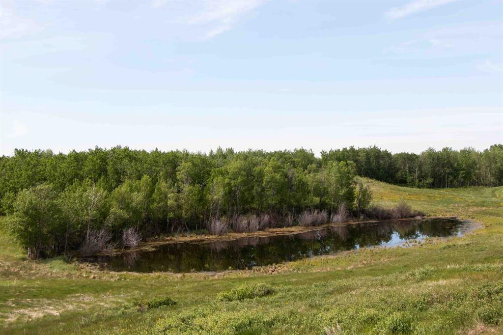 Hi Way 590, Rural Red Deer County, Alberta, T0M 0Y0 (104071246)