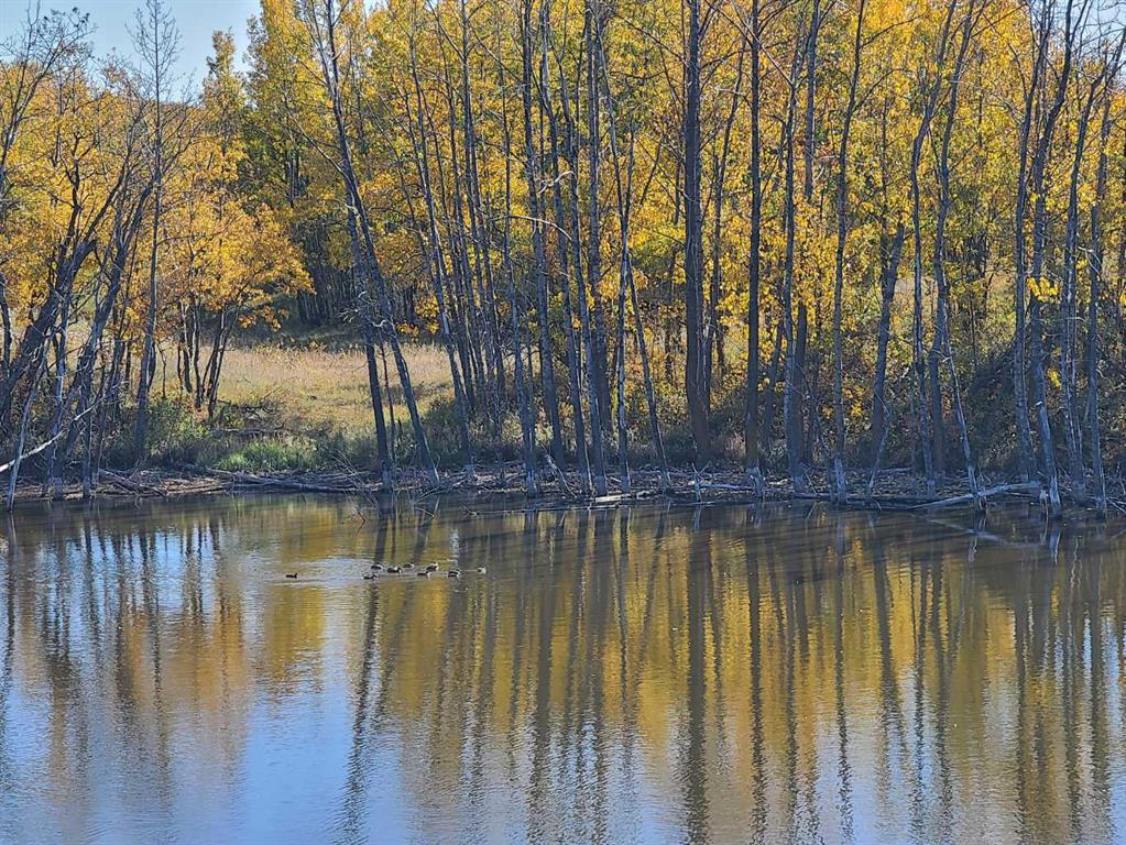 Hi Way 590, Rural Red Deer County, Alberta, T0M 0Y0 (104071246)