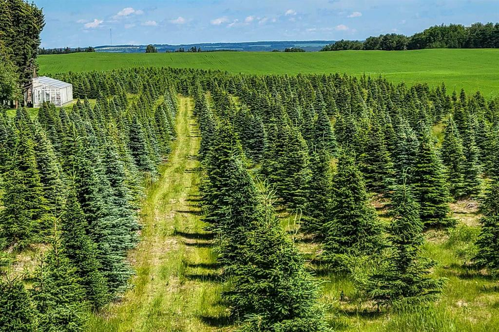 38551 Range Road 21, Rural Red Deer County, Alberta, T4E 2M7 (104803879)