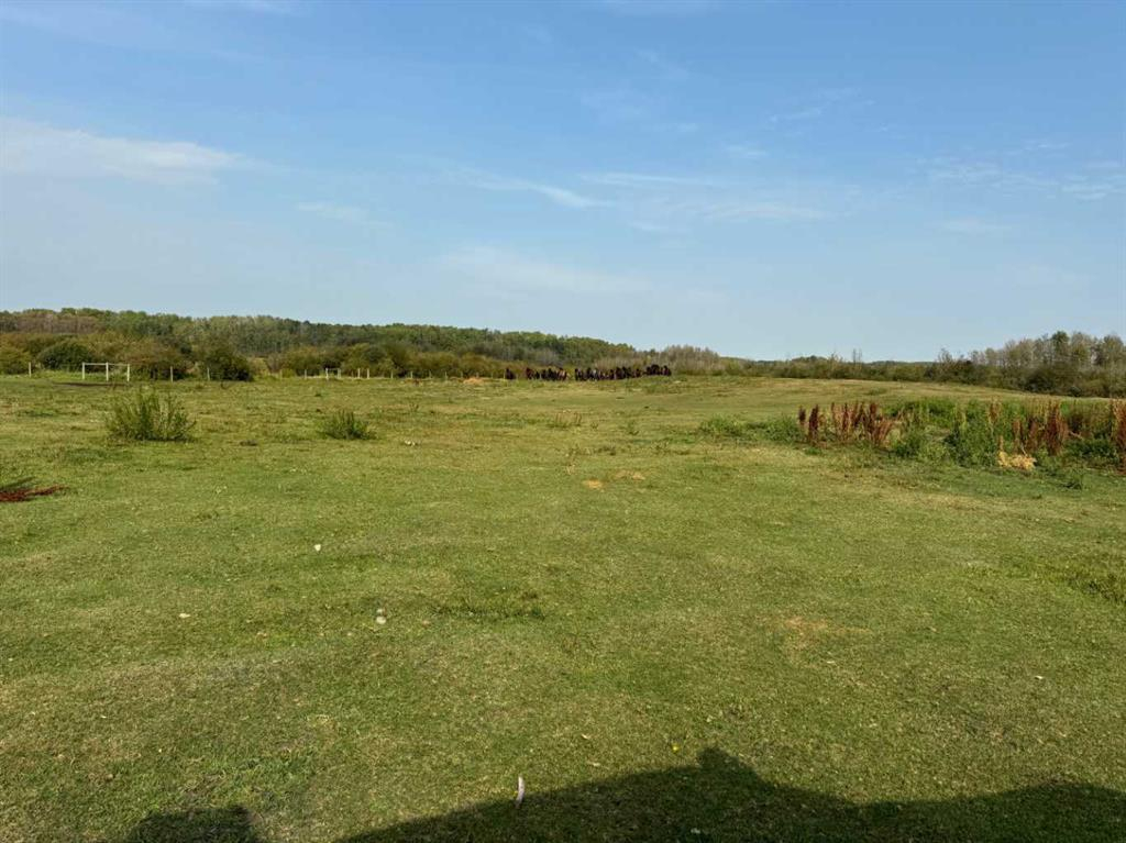 3021 Township Road 400, Rural Lacombe County, Alberta, T0M 0X0 (105506373)