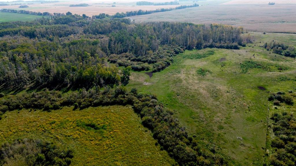 3021 Township Road 400, Rural Lacombe County, Alberta, T0M 0X0 (105506373)