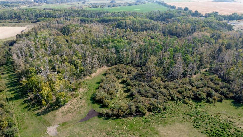 3021 Township Road 400, Rural Lacombe County, Alberta, T0M 0X0 (105506373)