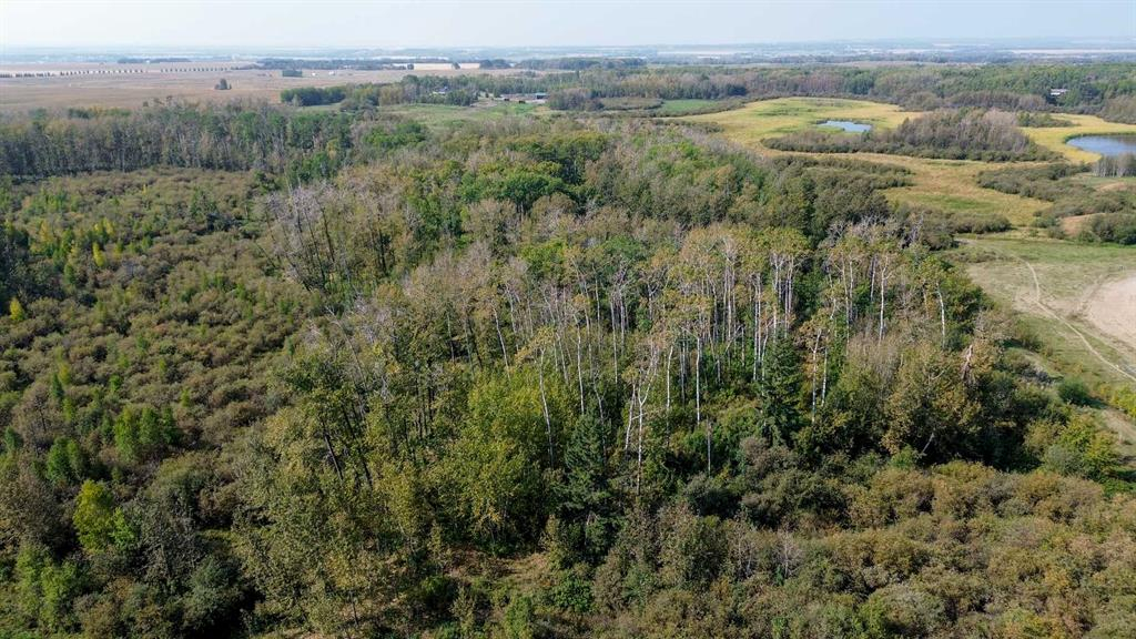 3021 Township Road 400, Rural Lacombe County, Alberta, T0M 0X0 (105506373)