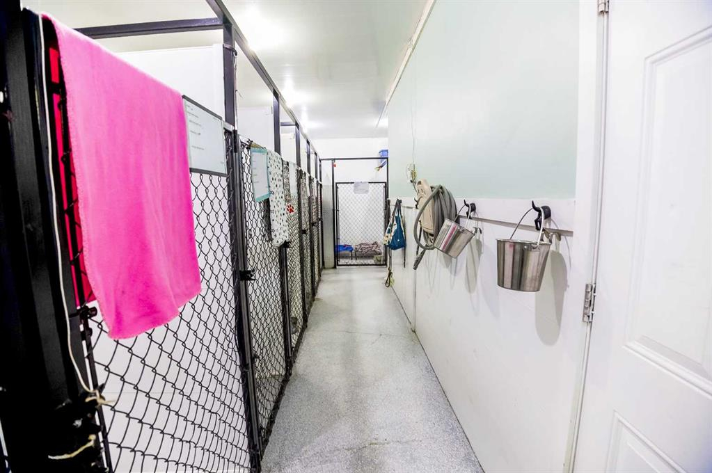 27006 Township Road 405.5 Township, Rural Lacombe County, Alberta, T4L 1X1 (105720633)