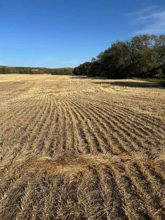 TWship Road 374, Rural Red Deer County, Alberta, T4E 1B3 (105965005)