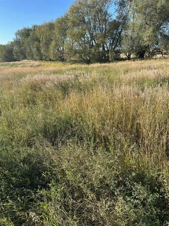 TWship Road 374, Rural Red Deer County, Alberta, T4E 1B3 (105965005)