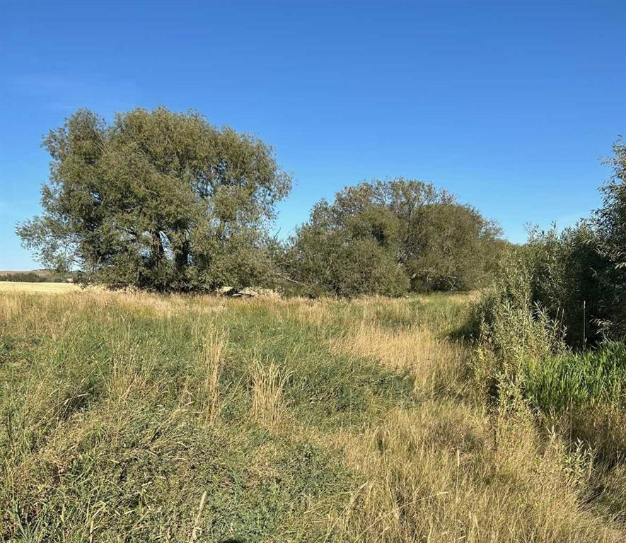 TWship Road 374, Rural Red Deer County, Alberta, T4E 1B3 (105965005)