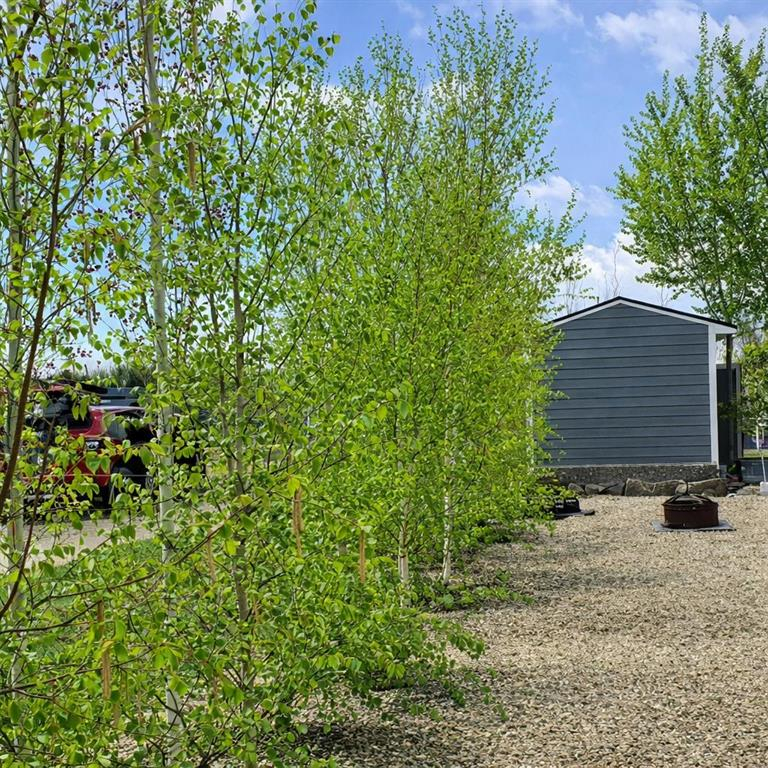 1-41019 Range Road 11, Rural Lacombe County, Alberta, T0C 1J0 (106105694)