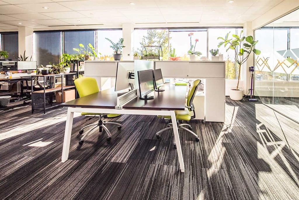 4919 59 Street, Red Deer, Alberta, T4N6C9 (106915369)