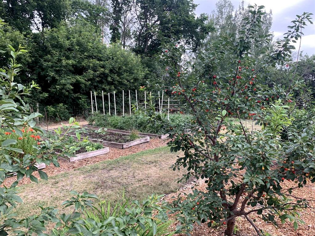 39212A- Highway 766 Highway, Rural Lacombe County, Alberta, T0M 0X0 (107005030)