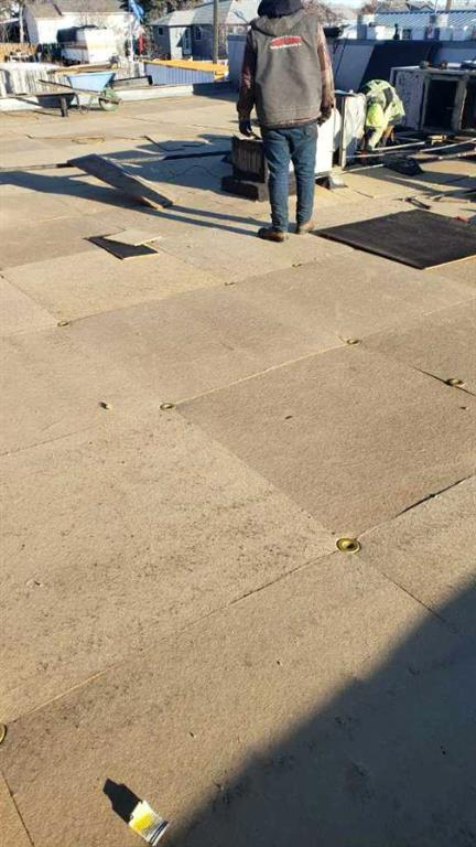 2216 20 Street, Delburne, Alberta, T0M0V0 (107092590)