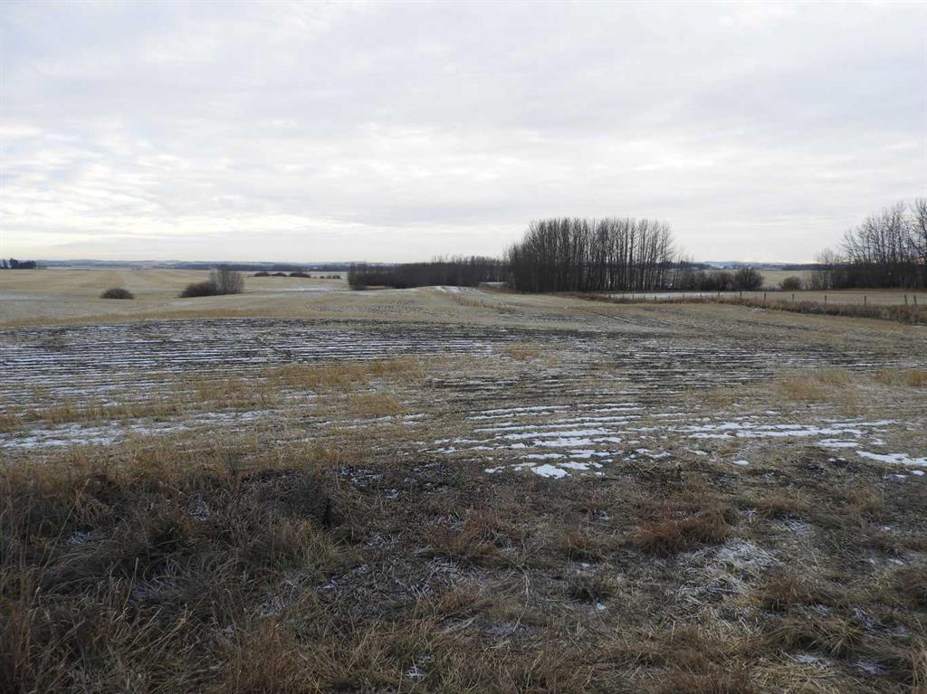 Near Clive, Rural Lacombe County, Alberta, T4L 2N1 (107241462)