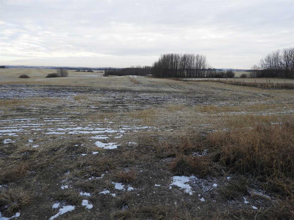 Near Clive, Rural Lacombe County, Alberta, T4L 2N1 (107241462)