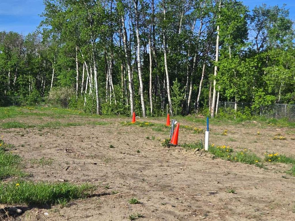 1019 391 Township, Rural Red Deer County, Alberta, T4P 0E8 (108380872)