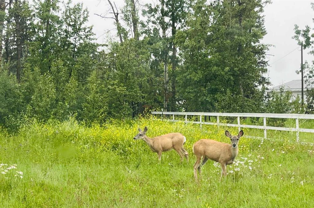 5400 Davies Street, Innisfail, Alberta, T4G 1E3 (108427460)