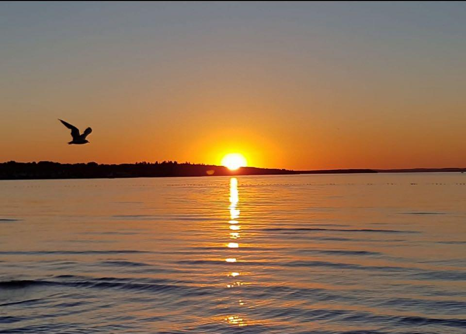 56-5230 Lakeshore Drive, Sylvan Lake, Alberta, T4S 1Y8 (108911194)