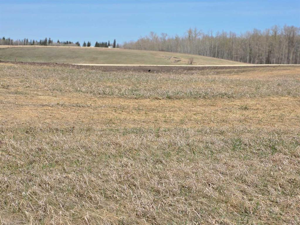 #6 C&E Trail North of Blackfalds, Rural Lacombe County, Alberta, T0M 0J0 (109213224)