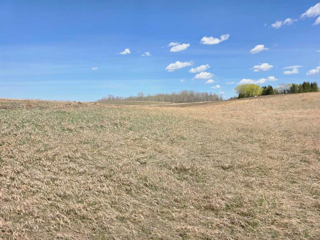 #7 C&E Trail North of Blackfalds, Rural Lacombe County, Alberta, T0M 0J0 (109213881)