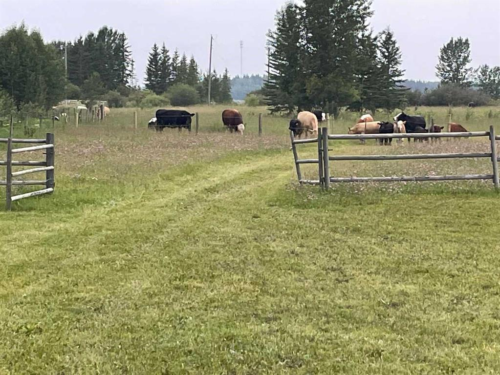 34331 Range Road 41 Road S, Rural Red Deer County, Alberta, T0M 0K0 (109385179)