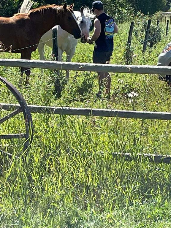 34331 Range Road 41 Road S, Rural Red Deer County, Alberta, T0M 0K0 (109385179)