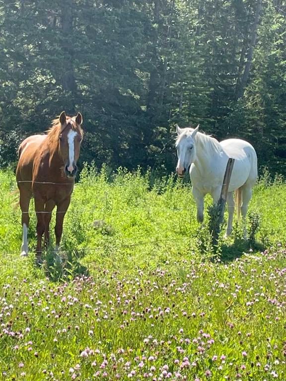 34331 Range Road 41 Road S, Rural Red Deer County, Alberta, T0M 0K0 (109385179)