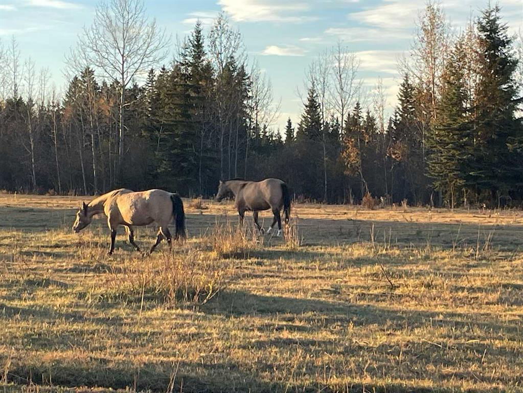 34331 Range Road 41 Road S, Rural Red Deer County, Alberta, T0M 0K0 (109385179)