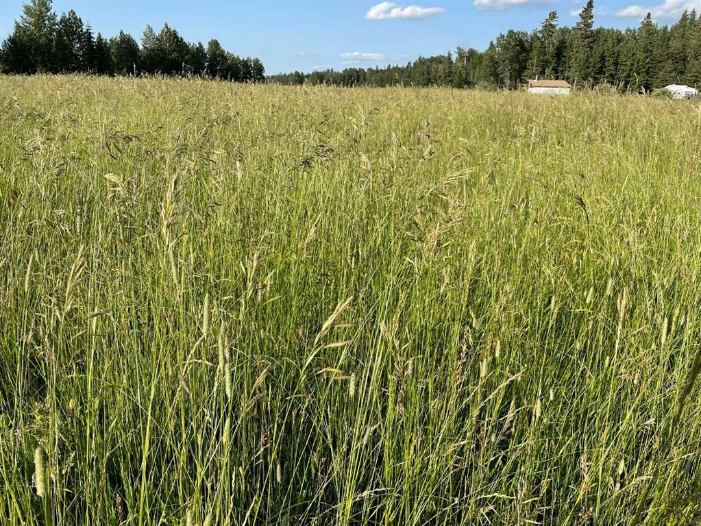 34331 Range Road 41 Road S, Rural Red Deer County, Alberta, T0M 0K0 (109385179)