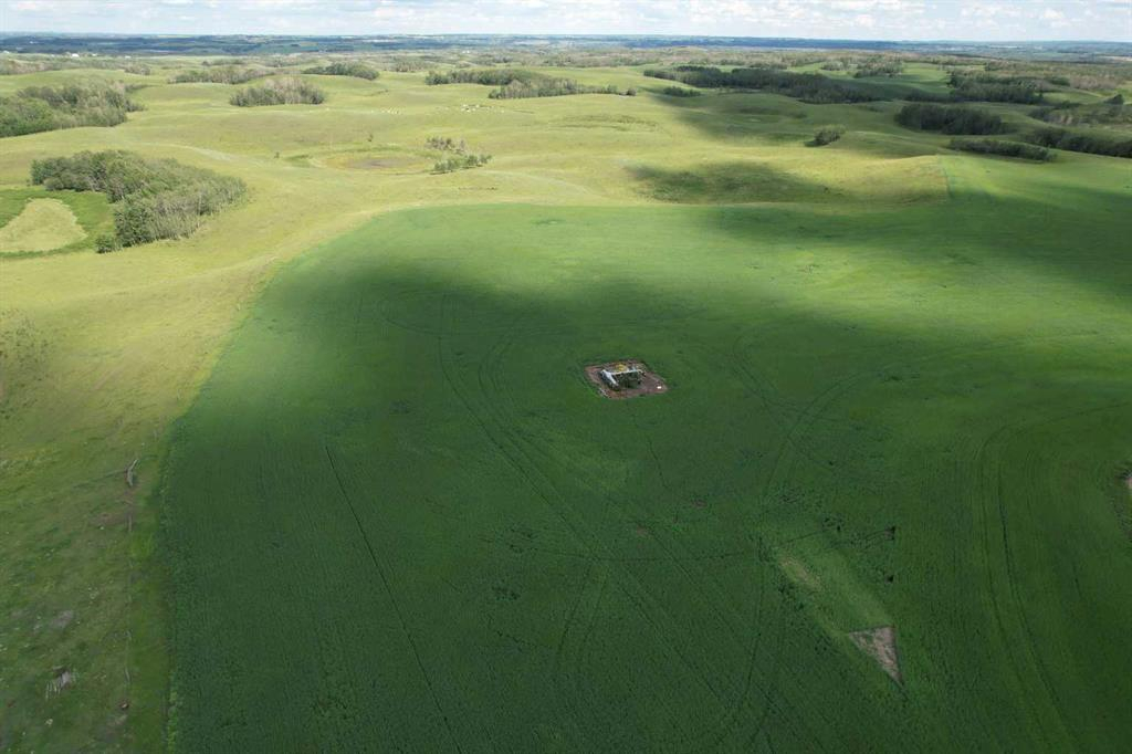 38311 Range Road 244, Rural Lacombe County, Alberta, T0C 0Y0 (110345174)