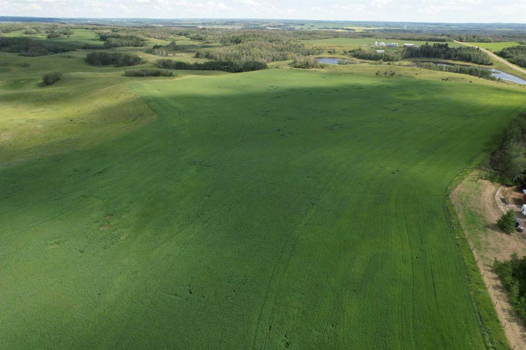 38311 Range Road 244, Rural Lacombe County, Alberta, T0C 0Y0 (110345174)