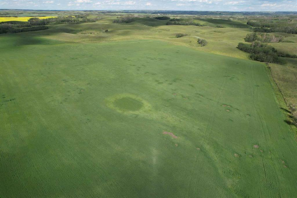 38311 Range Road 244, Rural Lacombe County, Alberta, T0C 0Y0 (110345174)