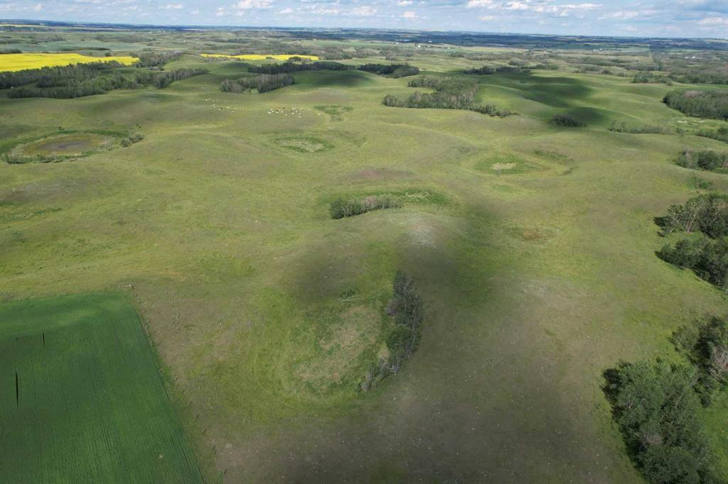 38311 Range Road 244, Rural Lacombe County, Alberta, T0C 0Y0 (110345174)