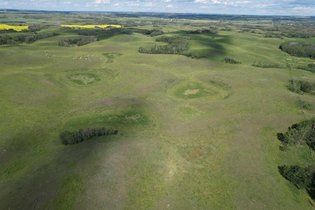 38311 Range Road 244, Rural Lacombe County, Alberta, T0C 0Y0 (110345174)