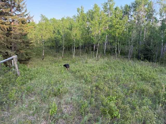 10-2168 587 Highway, Rural Red Deer County, Alberta, T0M 0K0 (111171844)