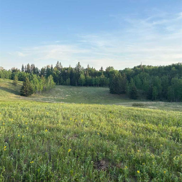 10-2168 587 Highway, Rural Red Deer County, Alberta, T0M 0K0 (111171844)
