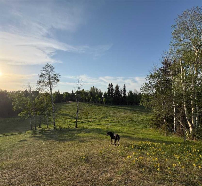 10-2168 587 Highway, Rural Red Deer County, Alberta, T0M 0K0 (111171844)