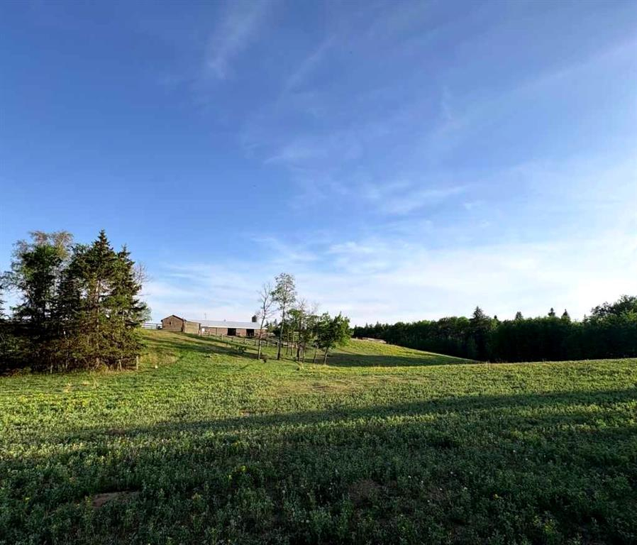 10-2168 587 Highway, Rural Red Deer County, Alberta, T0M 0K0 (111171844)