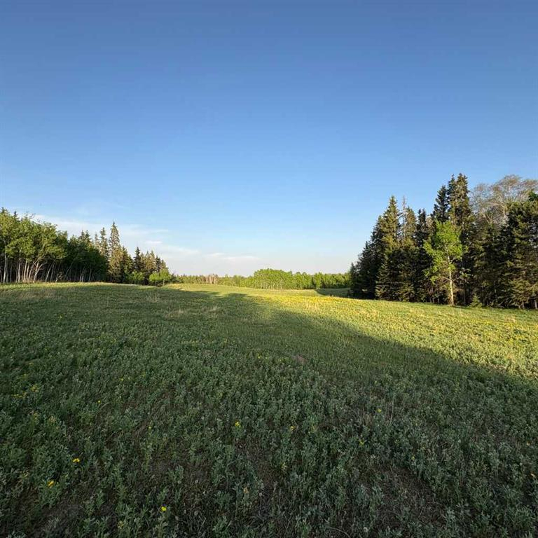 10-2168 587 Highway, Rural Red Deer County, Alberta, T0M 0K0 (111171844)