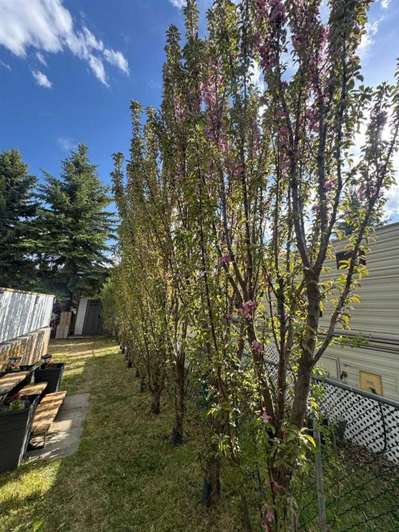 220-2540 Township Road 353, Rural Red Deer County, Alberta, T4G0K6 (111446496)