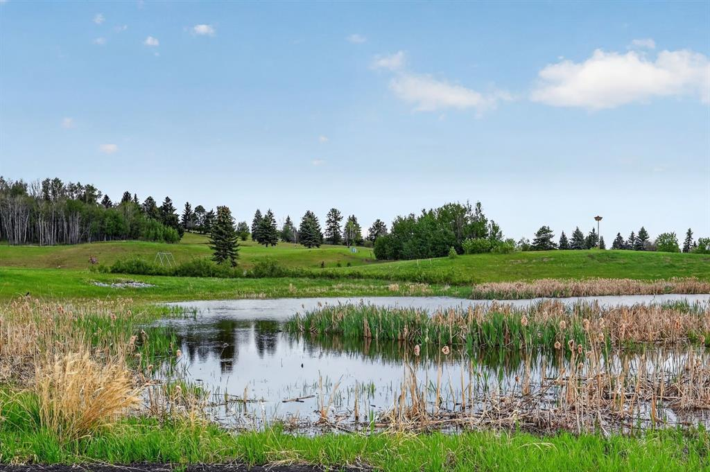 39325 Range Road 34, Rural Lacombe County, Alberta, T0M0X0 (111920369)