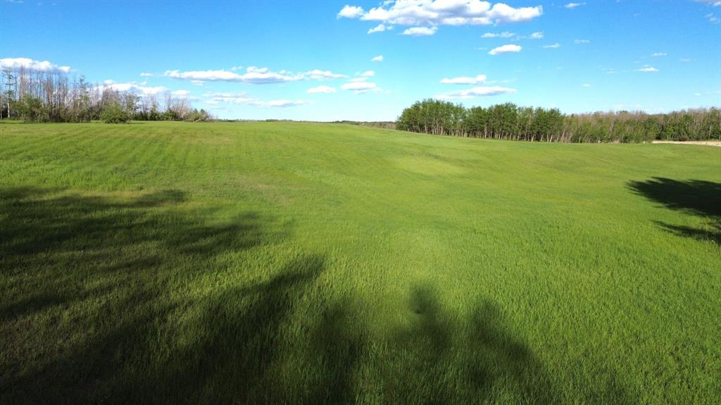 On South Pine Lake Road, Rural Red Deer County, Alberta, T0M 1S0 (112906737)