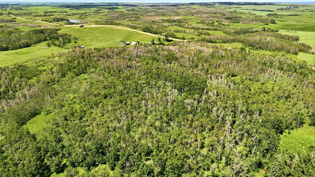 23221 Township Road 394, Rural Lacombe County, Alberta, T0C 0B0 (113347716)