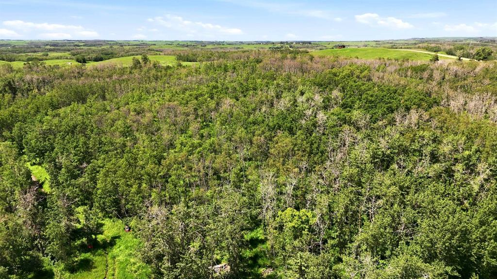 23221 Township Road 394, Rural Lacombe County, Alberta, T0C 0B0 (113347716)