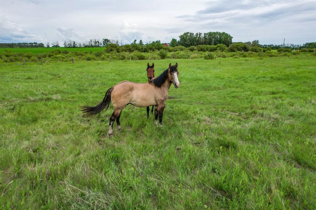 Range Road 261, Rural Lacombe County, Alberta, T0M 0J0 (113956470)