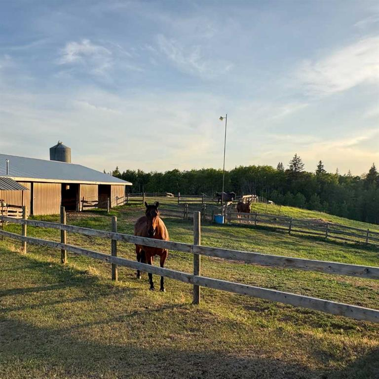 10-2168 587 Highway, Rural Red Deer County, Alberta, T0M 0K0 (114169320)