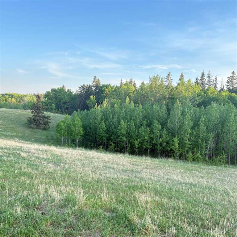 10-2168 587 Highway, Rural Red Deer County, Alberta, T0M 0K0 (114169320)
