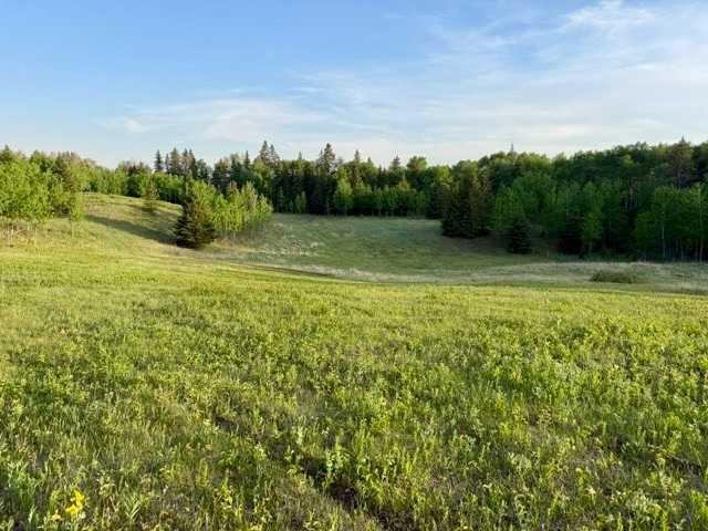 10-2168 587 Highway, Rural Red Deer County, Alberta, T0M 0K0 (114169320)