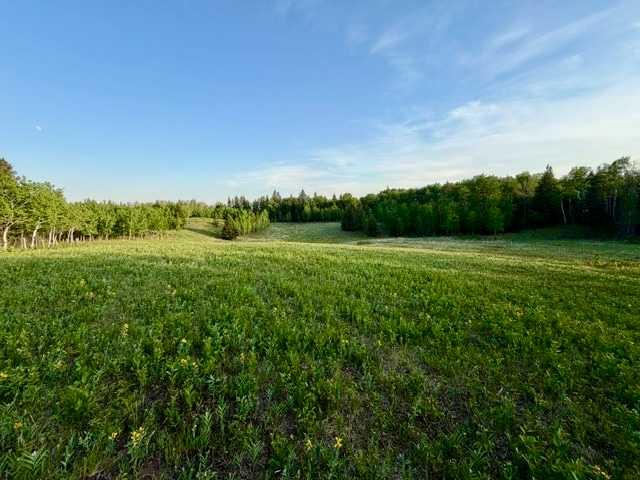 10-2168 587 Highway, Rural Red Deer County, Alberta, T0M 0K0 (114169320)