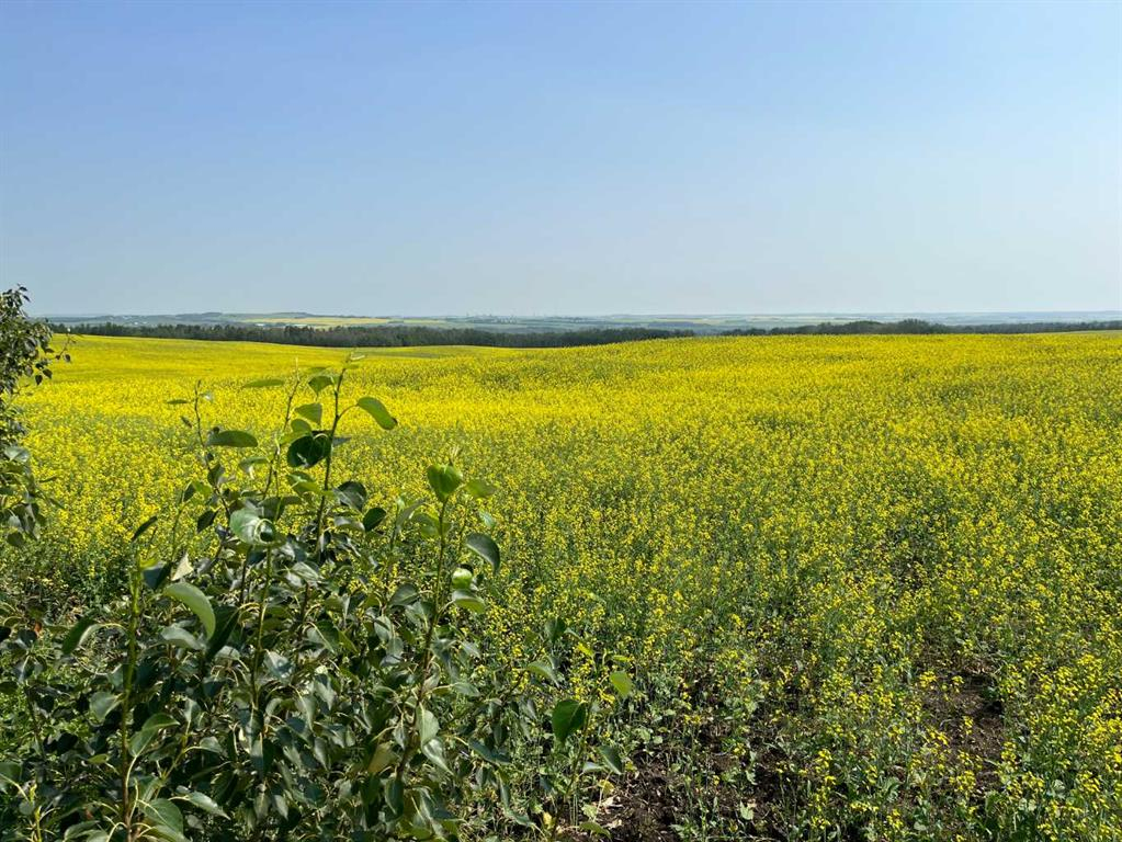Range Road 263, Rural Red Deer County, Alberta, T4E 0Y8 (114439461)